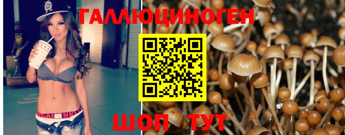 Псилоцибиновые грибы мицелий Торжок